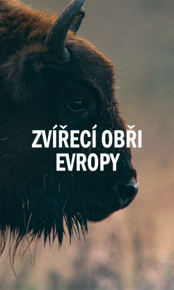 Zvířecí obři Evropy