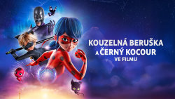 Kouzelná Beruška a Černý kocour ve filmu