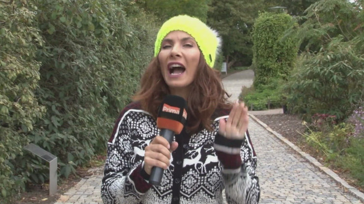 Náhled videa
