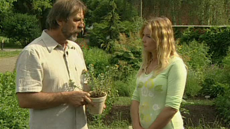 Receptář prima nápadů 2006 (24)