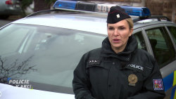 Policie v akci