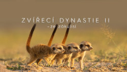 Zvířecí dynastie II – Ze zákulisí