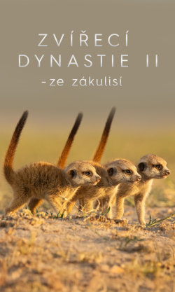 Zvířecí dynastie II – Ze zákulisí