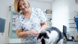 Receptář prima nápadů