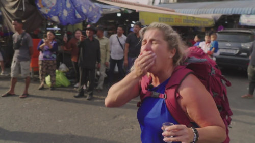 Asia Express - tarantule