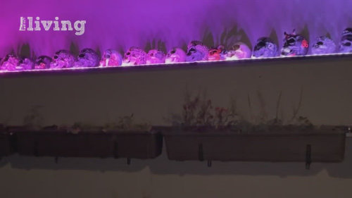 I letos mohou lidé navštívit Halloweenský dům v Rakovníku