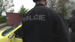 Policie v akci