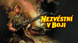 Nezvěstní v boji