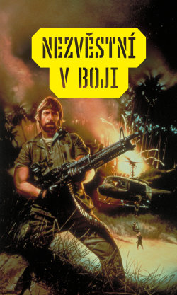 Nezvěstní v boji