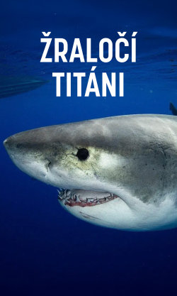 Žraločí titáni