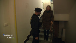 Policie v akci