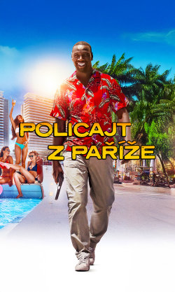 Policajt z Paříže