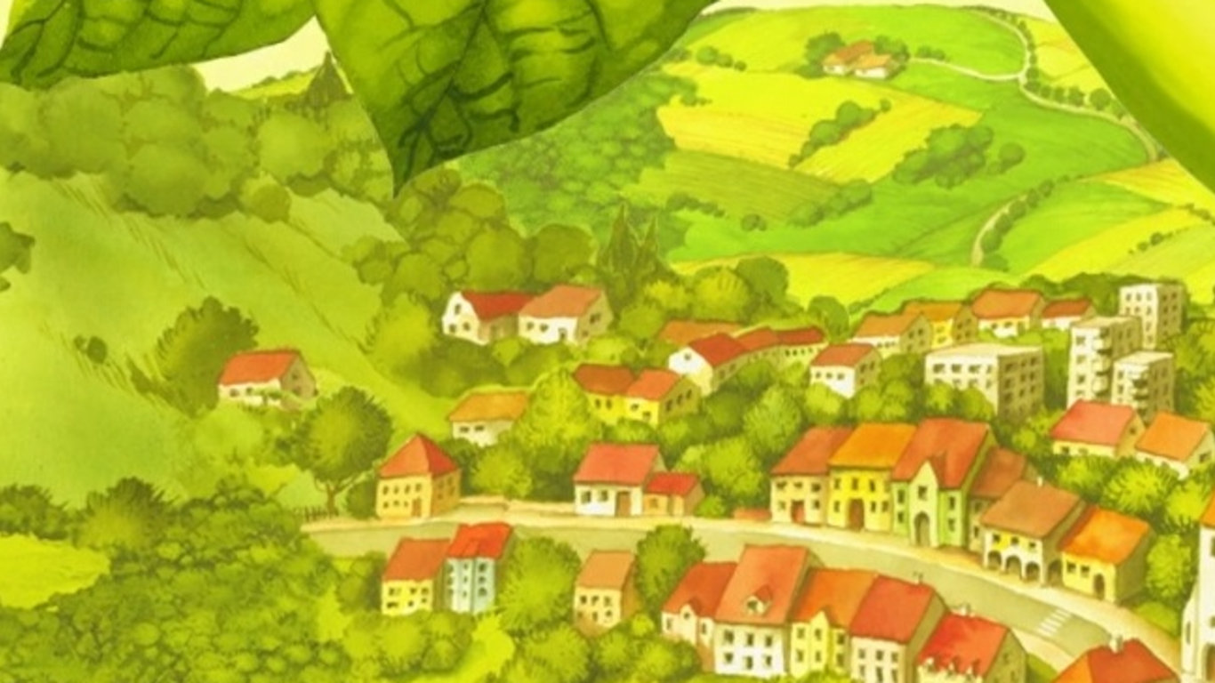 Fazolová polévka