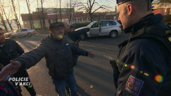 Policie v akci