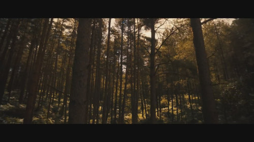 Trailer Avengers: Doomsday s Thorem