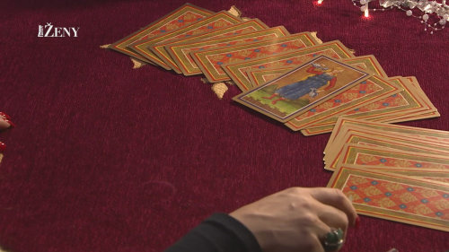 RAK – týden 22.12. – 28.12.2025