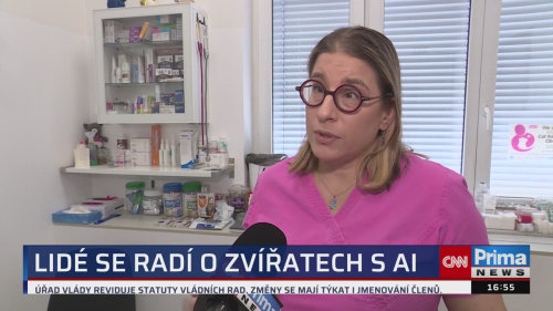 ZPRÁVY Z REGIONŮ, 12.8. v 16:55