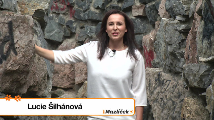 Náhled videa