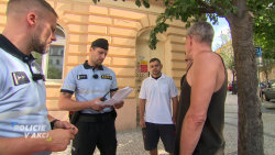 Policie v akci