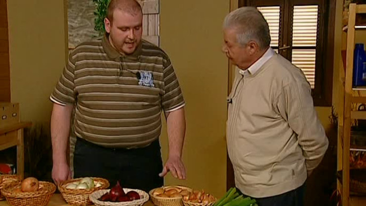 Receptář prima nápadů 2009 (11)