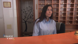 Policie v akci