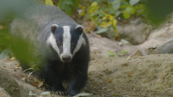 Loučení se s létem