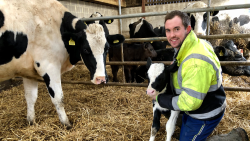 Veterinář z Yorkshiru S12 (4)