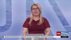 ZPRÁVY, 11.11. v 15:00 - Jan Burianec