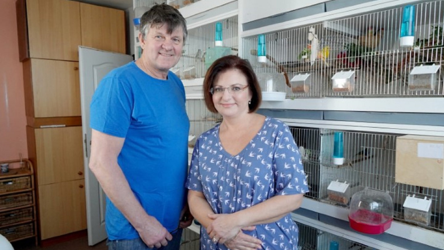 Beze ztrát, servis kola, osvědčené odrůdy rajčat, komunitní zahrada, chov ptáků, Minutový manžel