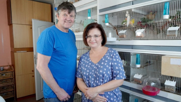 Beze ztrát, servis kola, osvědčené odrůdy rajčat, komunitní zahrada, chov ptáků, Minutový manžel