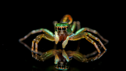 Záříme, abychom se spojili