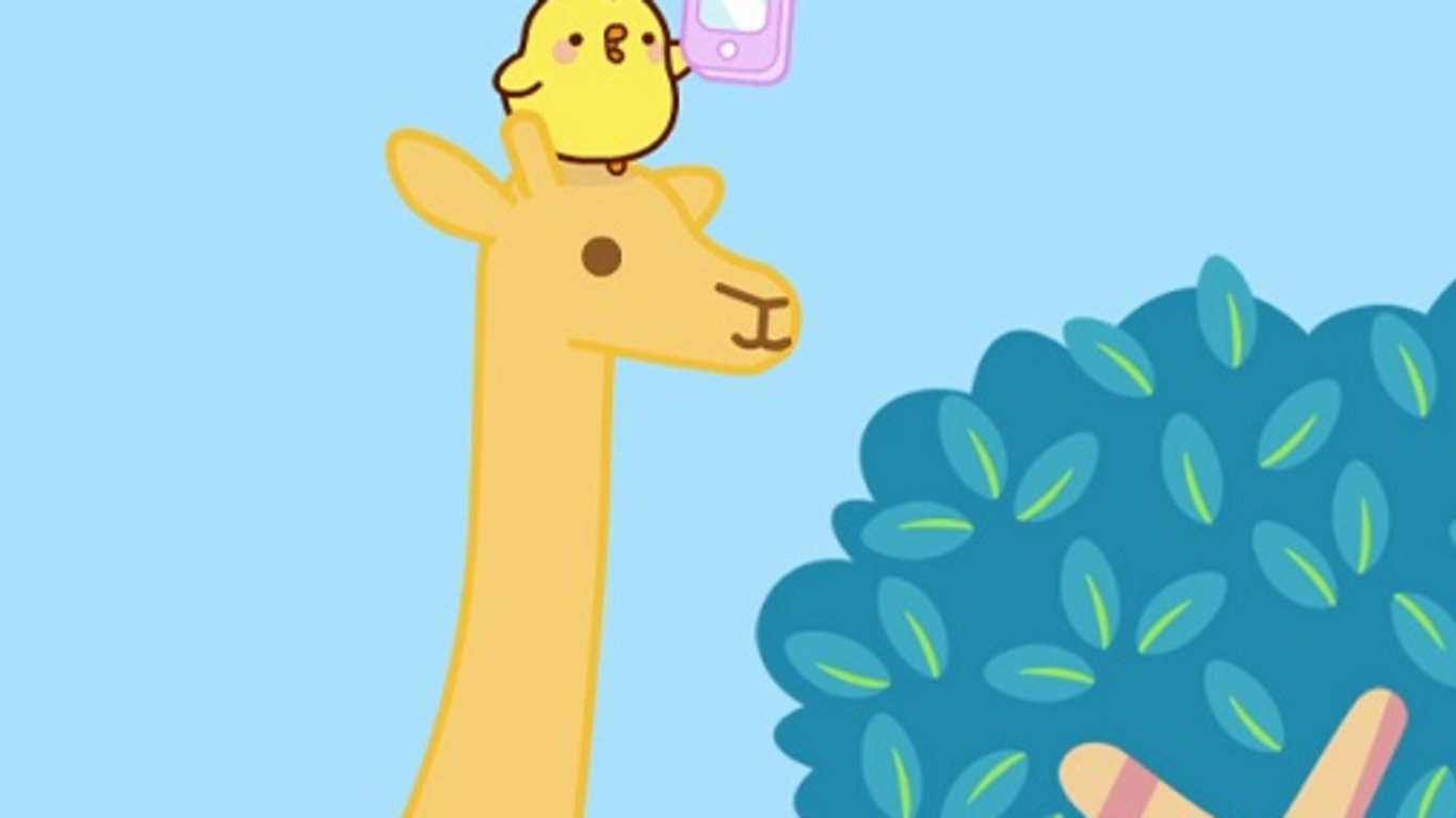 Safari