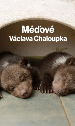 Méďové Václava Chaloupka