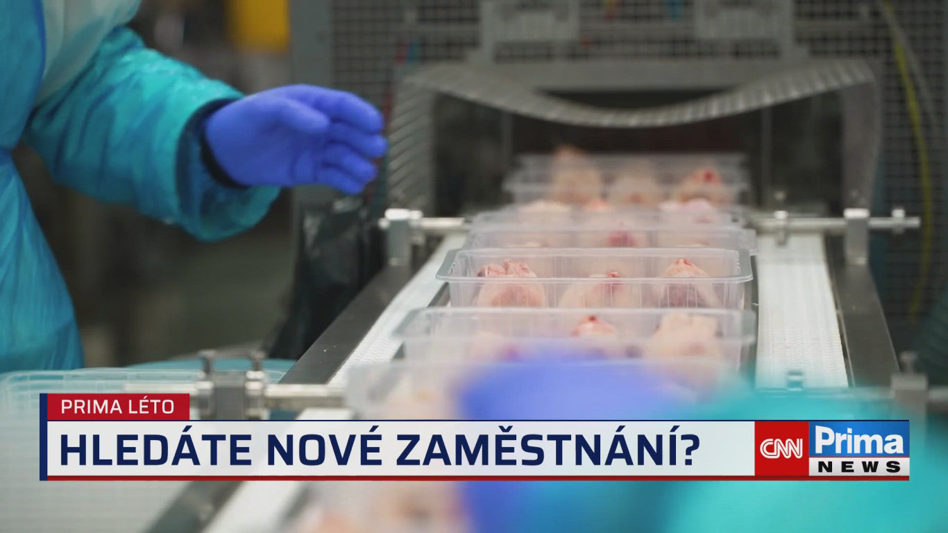 Prima ROK - 2.7. v 17:35 - Prima ROK - CNN Prima NEWS