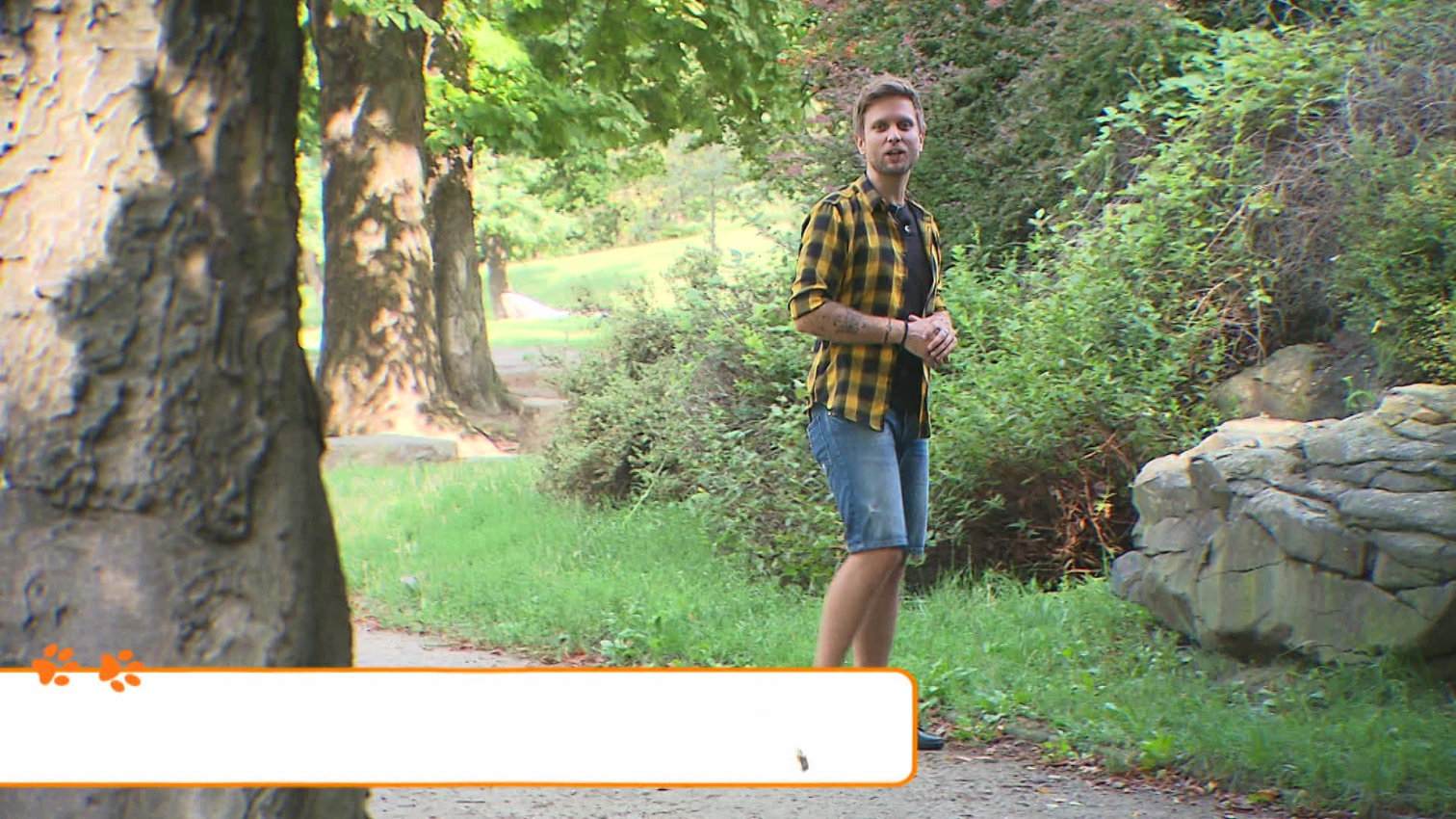 Náhled videa