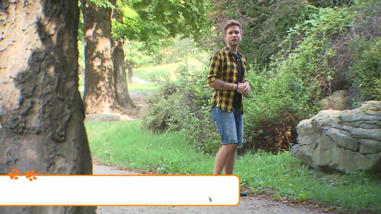 Náhled videa
