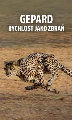 Gepard: Rychlost jako zbraň