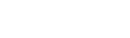 Gepard: Rychlost jako zbraň