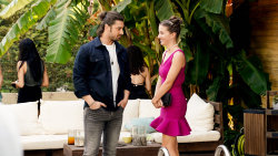 Láska s vůní oliv