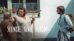 Slunce, seno, jahody
