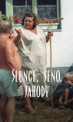 Slunce, seno, jahody