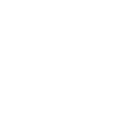 Němý svědek