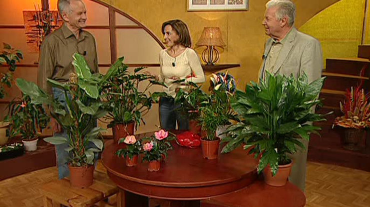 Receptář prima nápadů 2005 (15)
