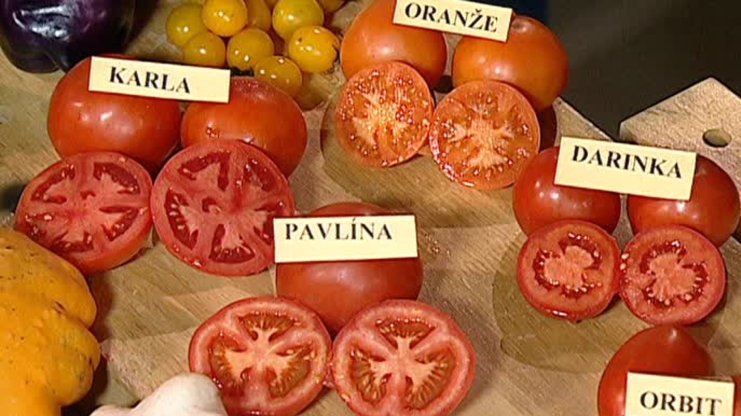 Receptář prima nápadů 2006 (37)