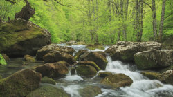 Neretva