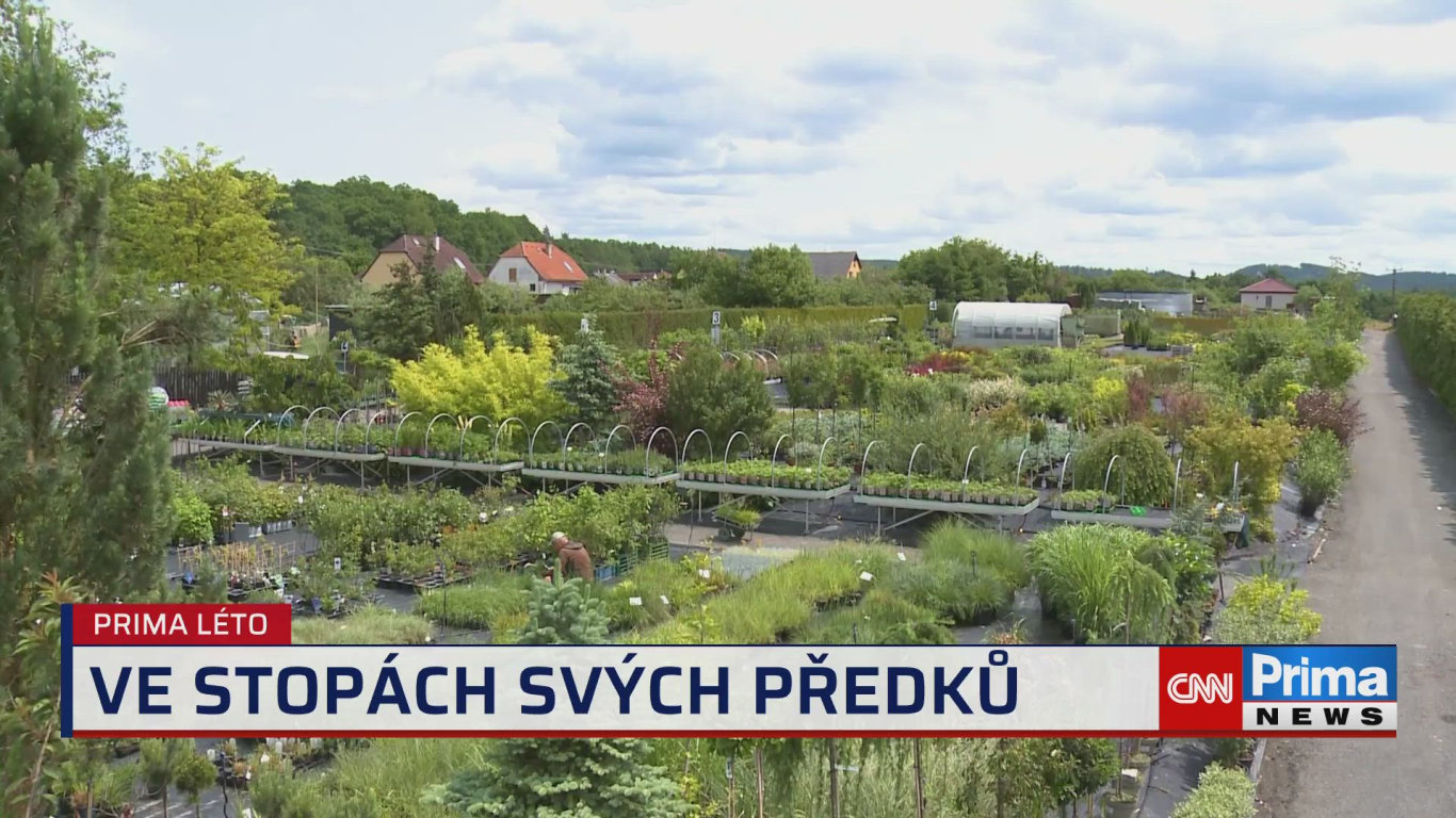 Prima ROK - 24.6. v 15:40 - Prima ROK - CNN Prima NEWS