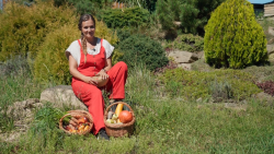 Zahradnice po ruce S1 (9)