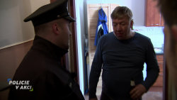 Policie v akci