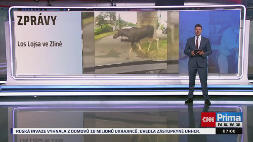ZPRÁVY - 12.7. v 07:00