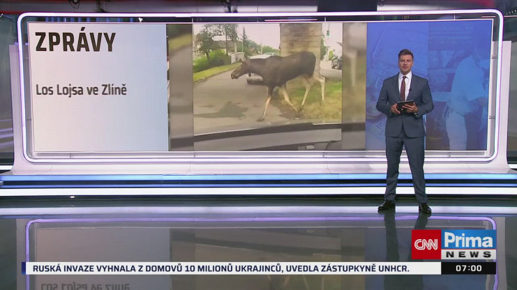 Náhled videa